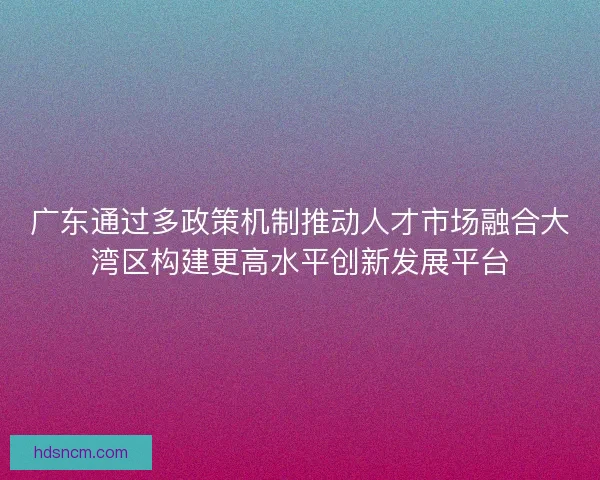 广东通过多政策机制推动人才市场融合大湾区构建更高水平创新发展平台